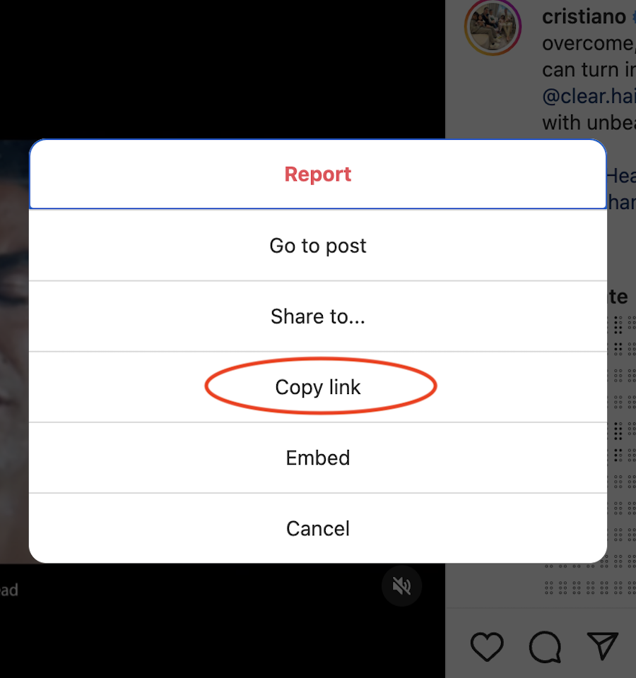 step-1 get link from Instagram